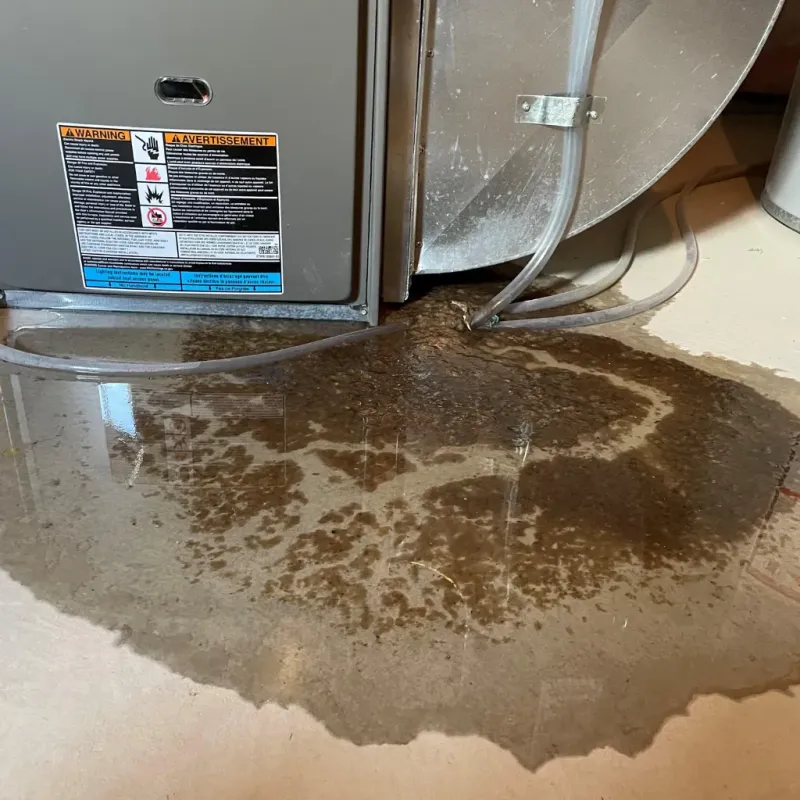 Appliance Leak Cleanup in Lakemont, PA